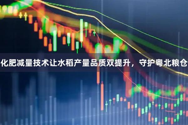 化肥减量技术让水稻产量品质双提升，守护粤北粮仓